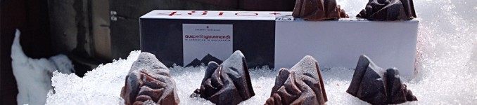 4810banniere 06540036f8322543fa60763f35545aee