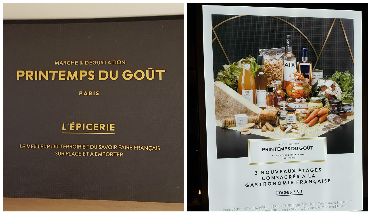 gout 16
